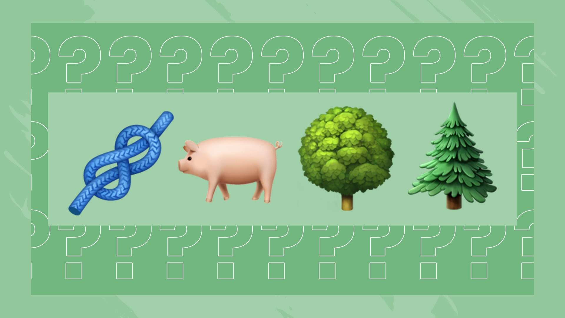 更是意志与 更是意志与